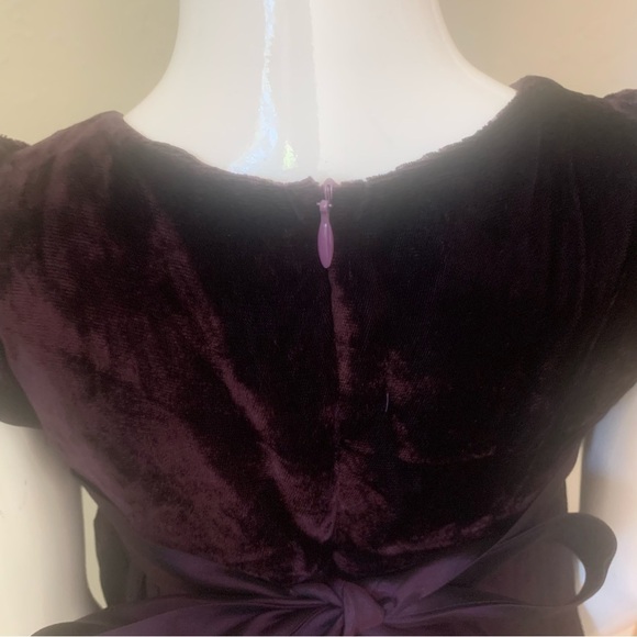 BISCOTTI Collezioni Velvet and Taffeta Special Occasion Fancy Dress Size 4T - Picture 11 of 16